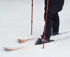 Skishoe is a hybrid between snowshoes and traditional skis